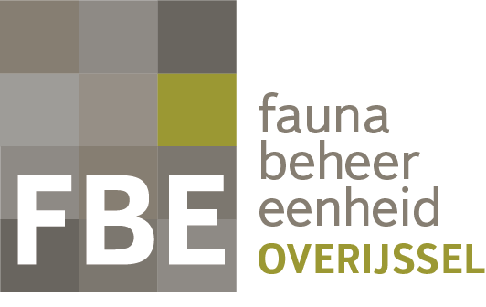 fbe overijssel logo